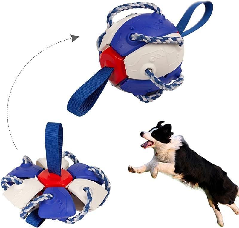 Bola Mágica Dobrável para Cães | Space Ball - Movimento Pet 