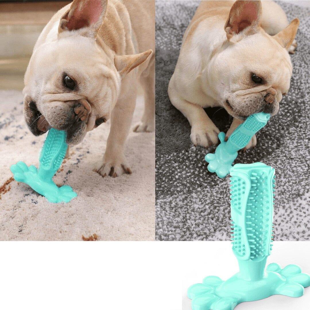Brinquedo Mordedor para Limpeza de Dentes - Movimento Pet 
