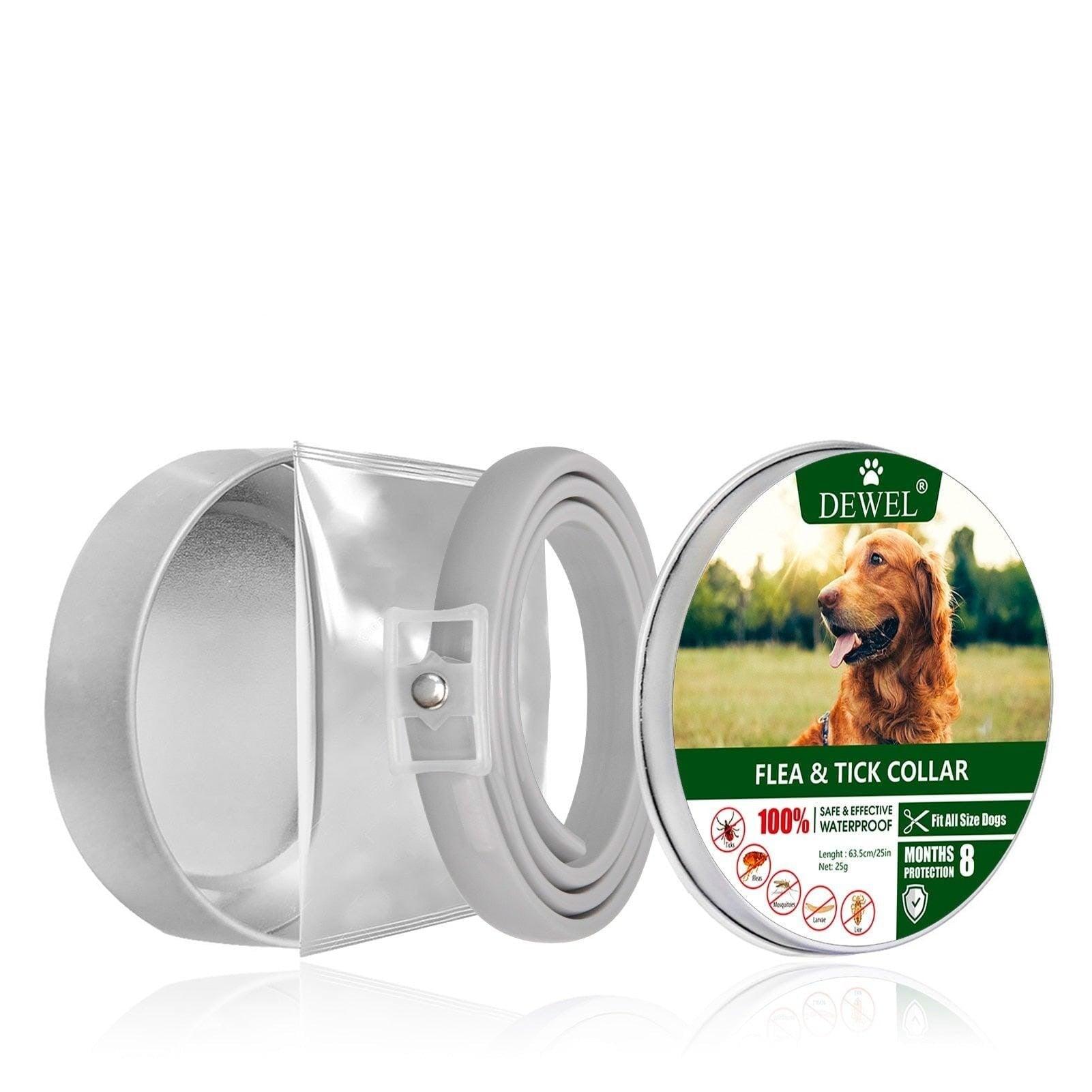 Lilyvera dog outlet collar