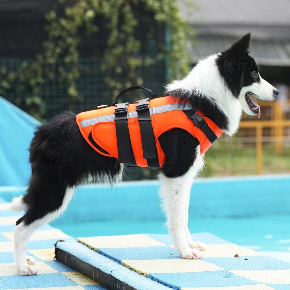Colete Salva-Vidas Cachorro Tailup - Movimento Pet 