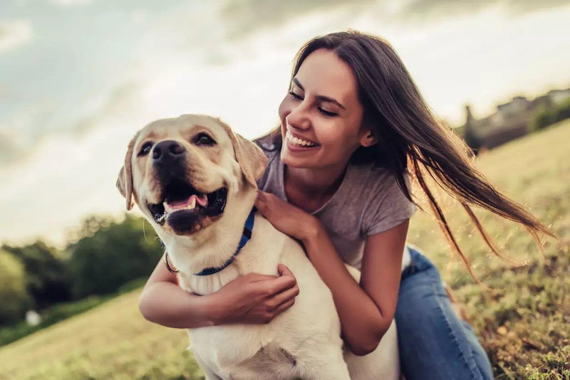 Maneiras de fazer seu cachorro feliz - Movimento Pet