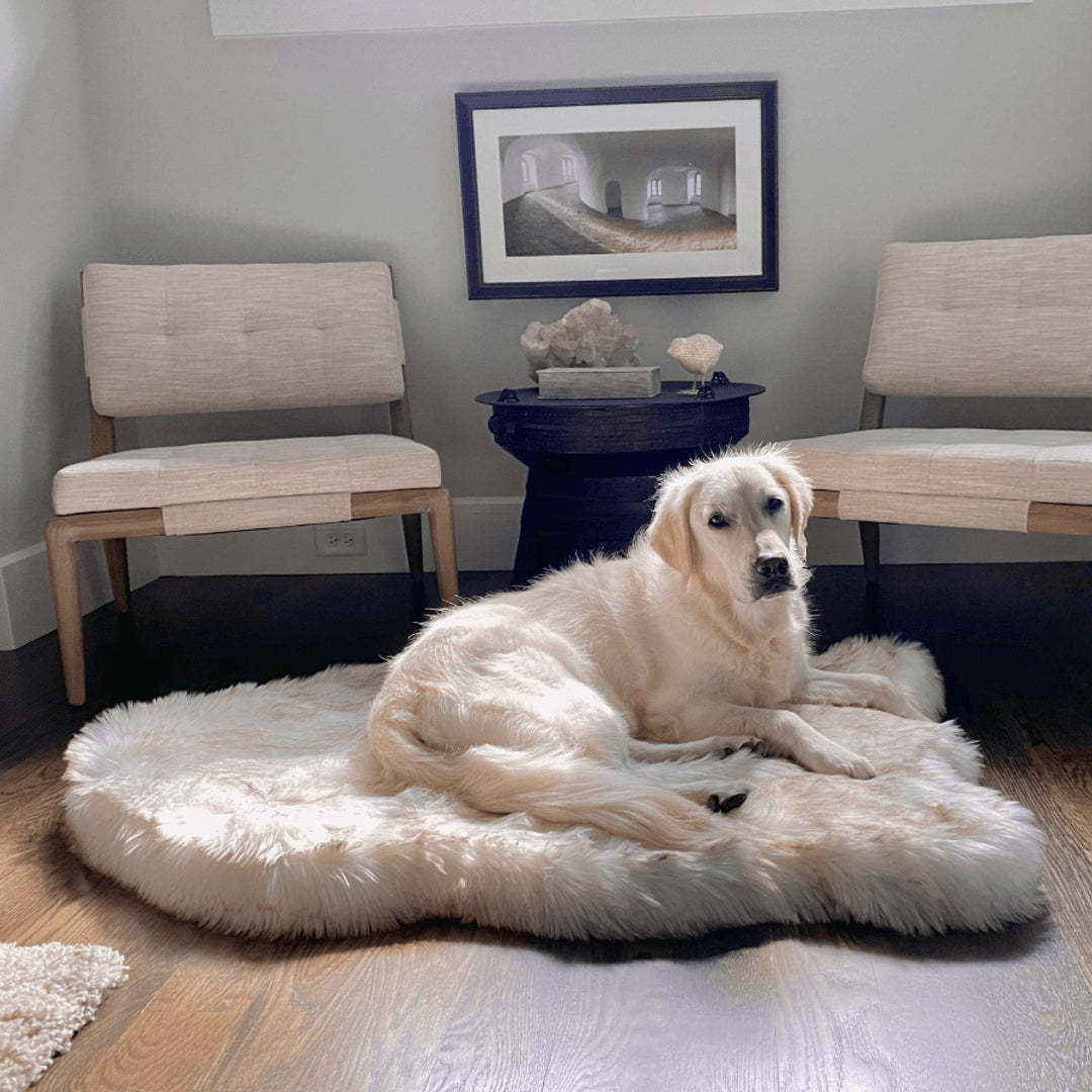 Cama para Cachorros Soft Luxo
