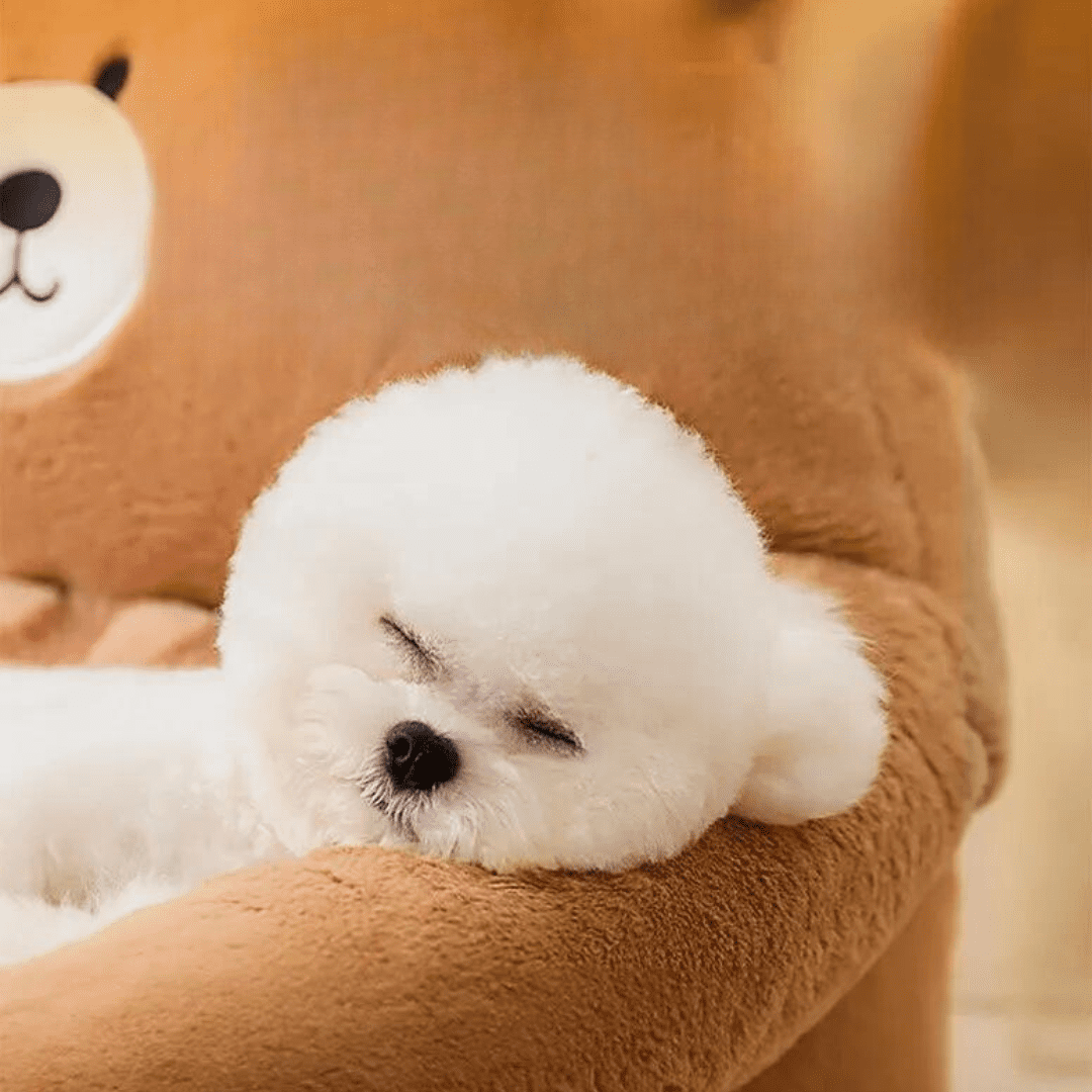 Sofá Cama para Pets Urso
