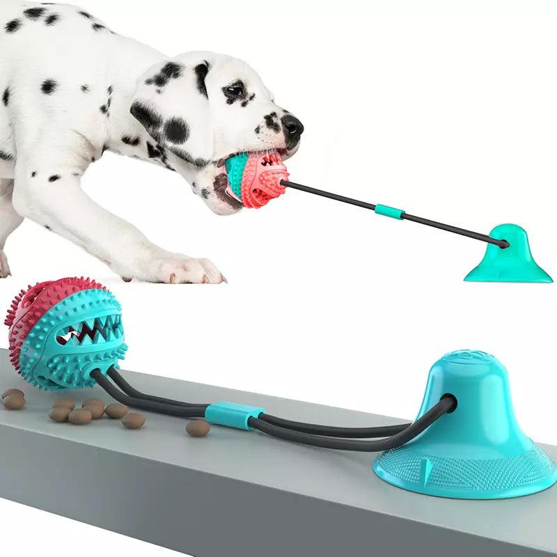 Brinquedo Mordedor Para Cachorros - Movimento Pet 