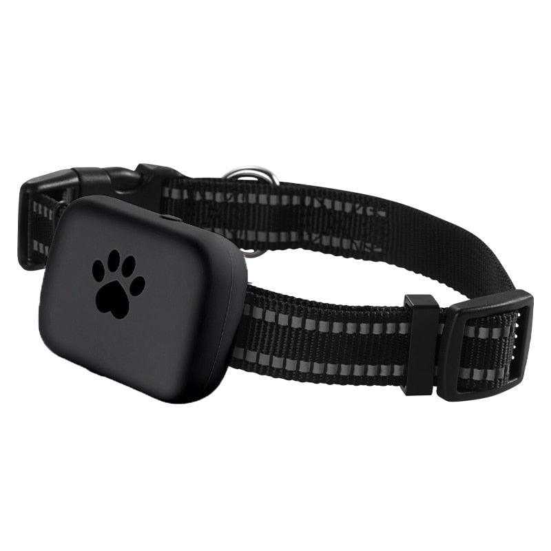 Coleira Com GPS para Cães e Gatos Longa Distância - Movimento Pet 