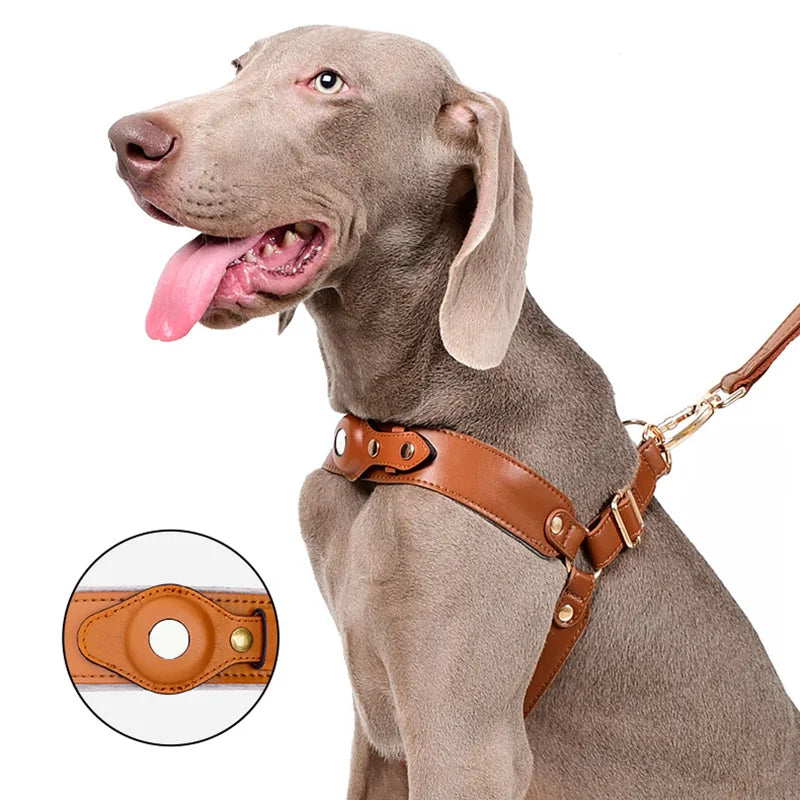Coleira Rastreadora Peitoral Ajustável Kit com Air tag - Movimento Pet 