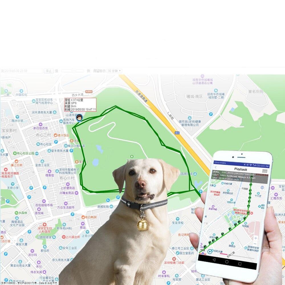 Coleira Rastreador GPS Maps para Cães e Gatos - Movimento Pet 