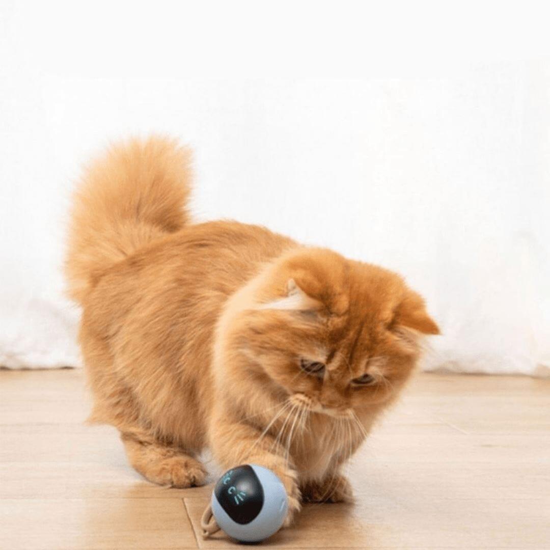 Brinquedo Inteligente para Cães e Gatos - Bolinha Smart - Movimento Pet 