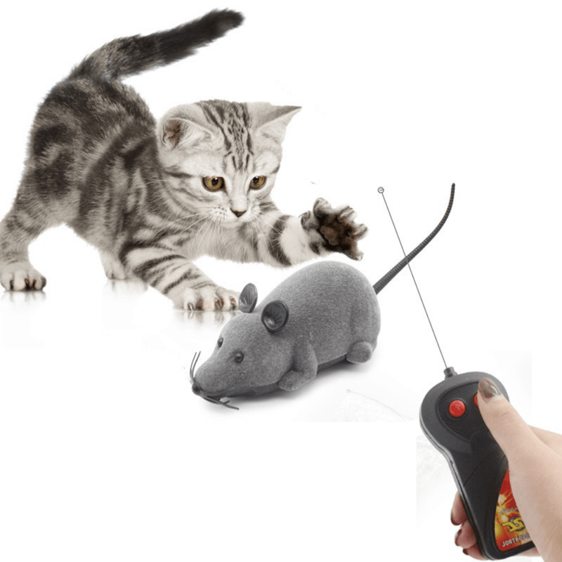 Brinquedo Rato de Controle Remoto para Gatos - Movimento Pet