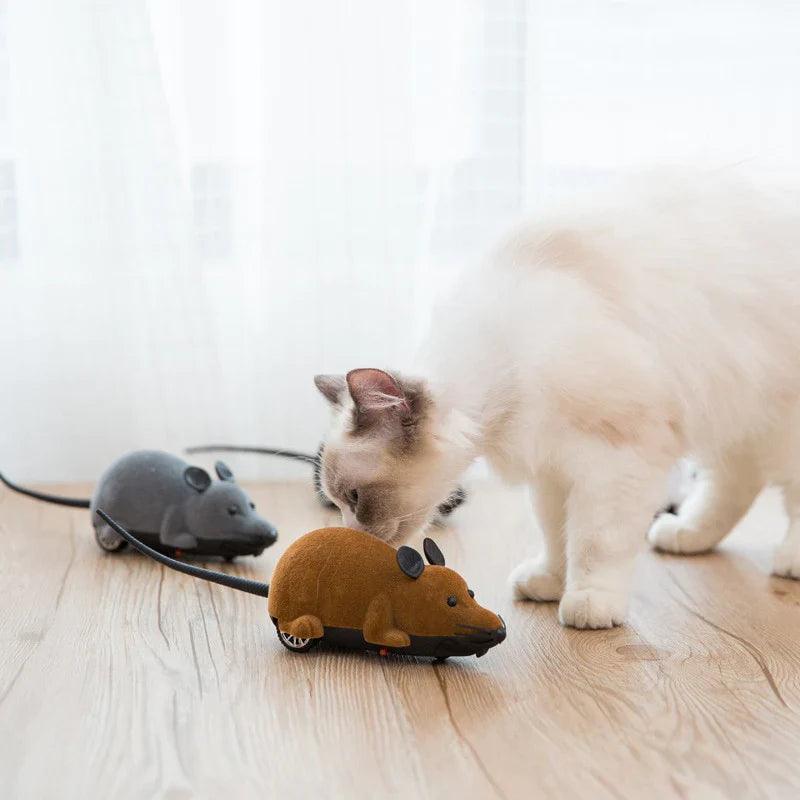 Brinquedo Rato de Controle Remoto para Gatos - Movimento Pet