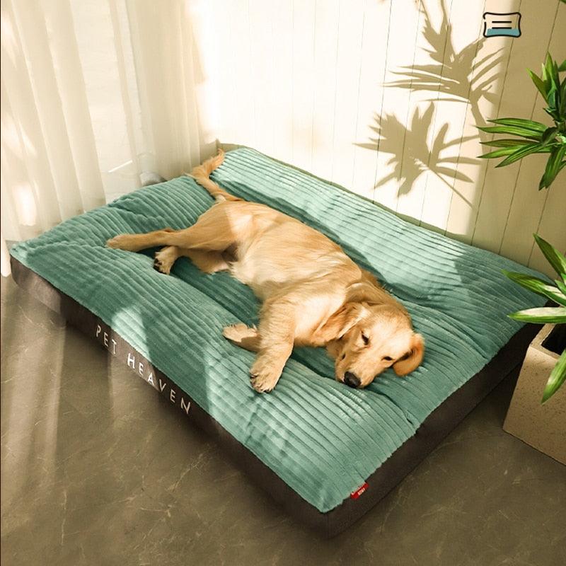 Caminha Pet Dream - para cachorro e gato - Movimento Pet