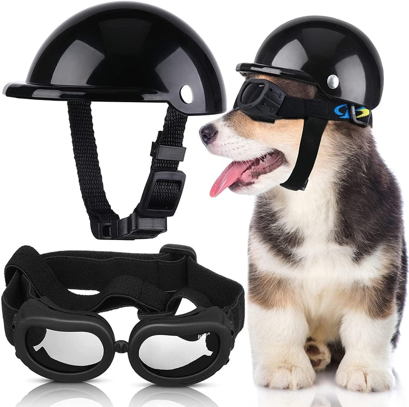 Capacete e Óculos para cachorros - Petit Helmet cachorro: capacete p cachorros Movimento Pet Preto P 
