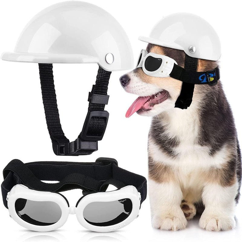 Capacete e Óculos para cachorros - Petit Helmet cachorro: capacete p cachorros Movimento Pet Branco P 