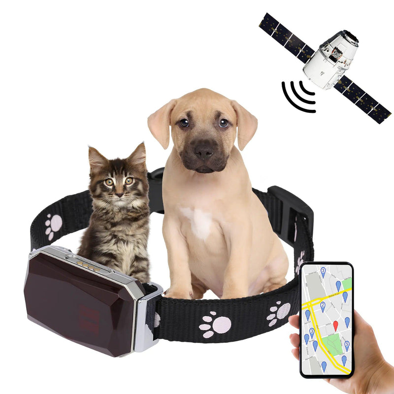 Coleira Com Gps Para Pets Precisão e Rapidez - Movimento Pet