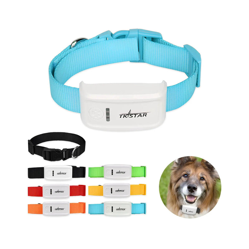 Coleira com Rastreador GPS Para Pets - Movimento Pet