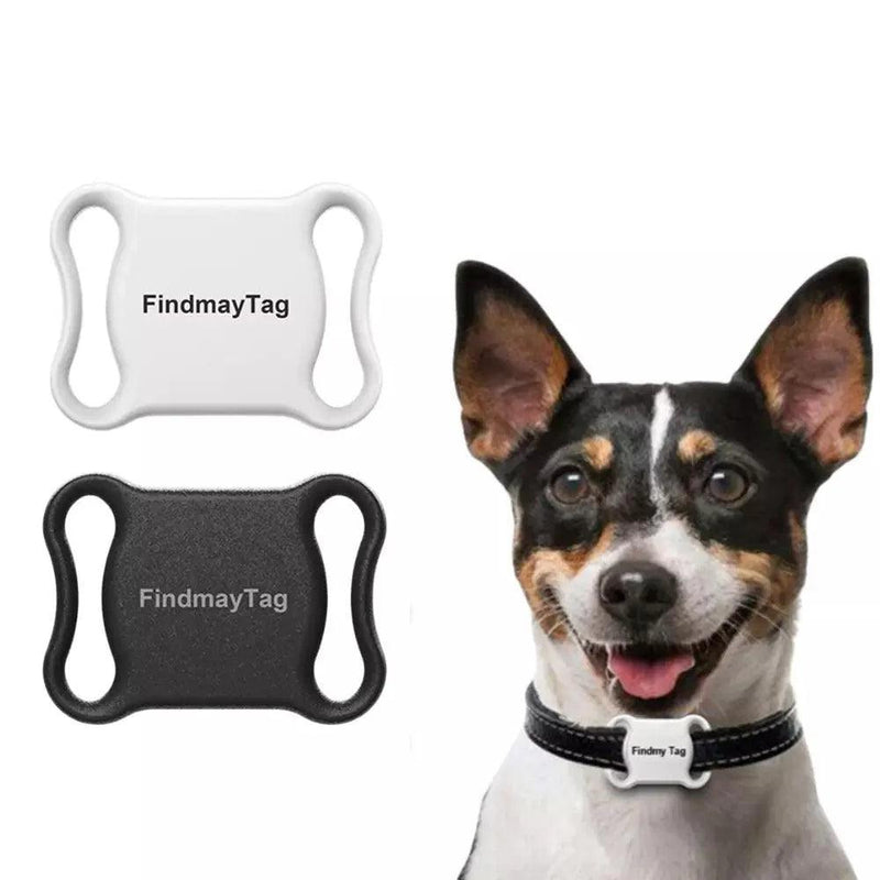 Coleira Rastreadora com GPS para Pets - Movimento Pet 