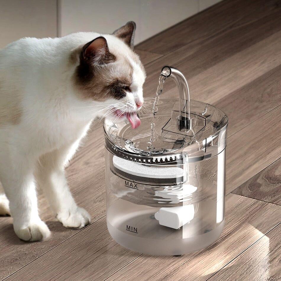 Fonte Automática Fresh Water Para Gatos - Movimento Pet 