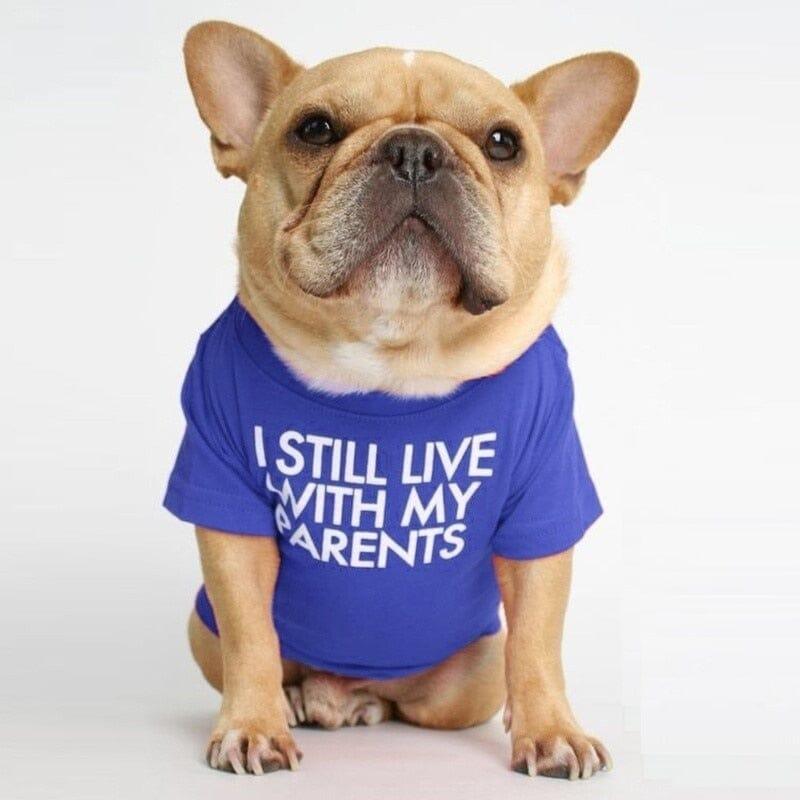 Camiseta Cuttes REMOVER Movimento Pet Azul P 