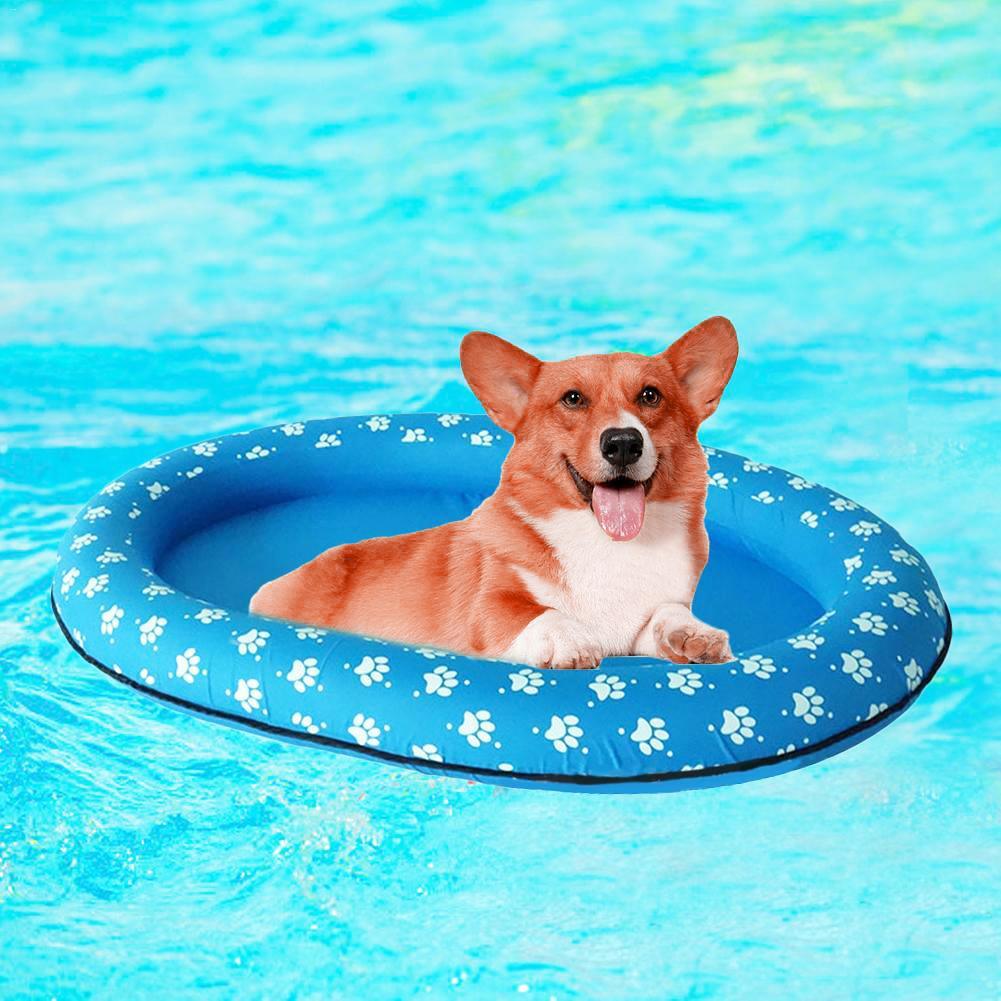 Boia Aquática Flutuante para Cães - Movimento Pet 