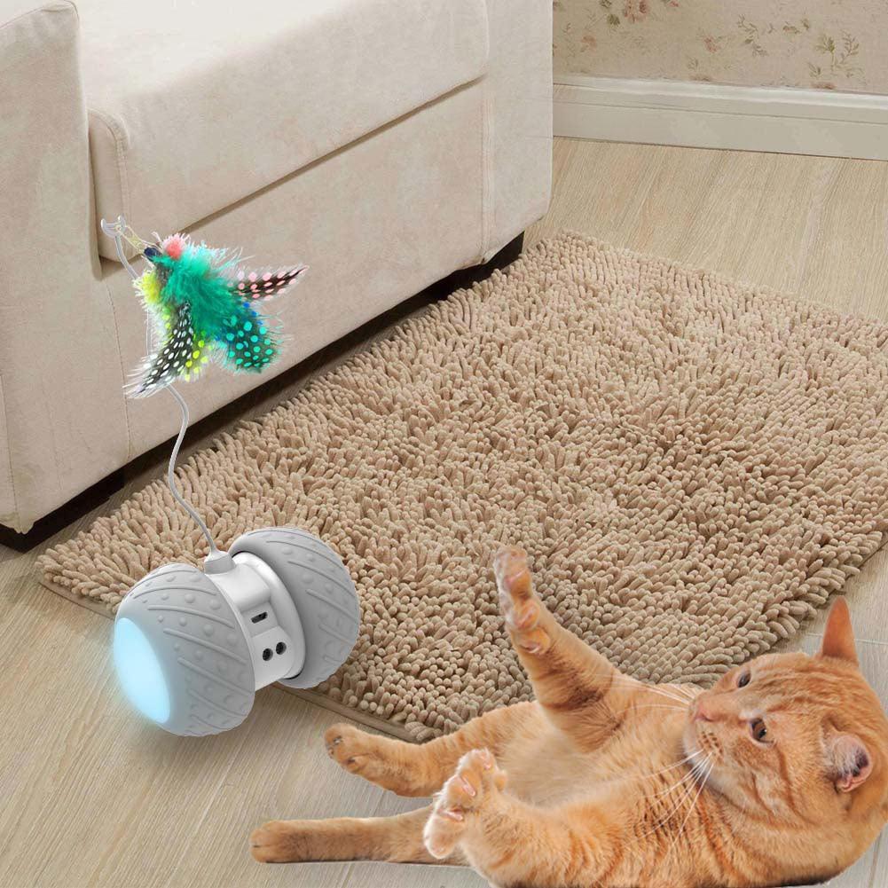 Brinquedo Eletrônico Inteligente para Gatos - Movimento Pet 