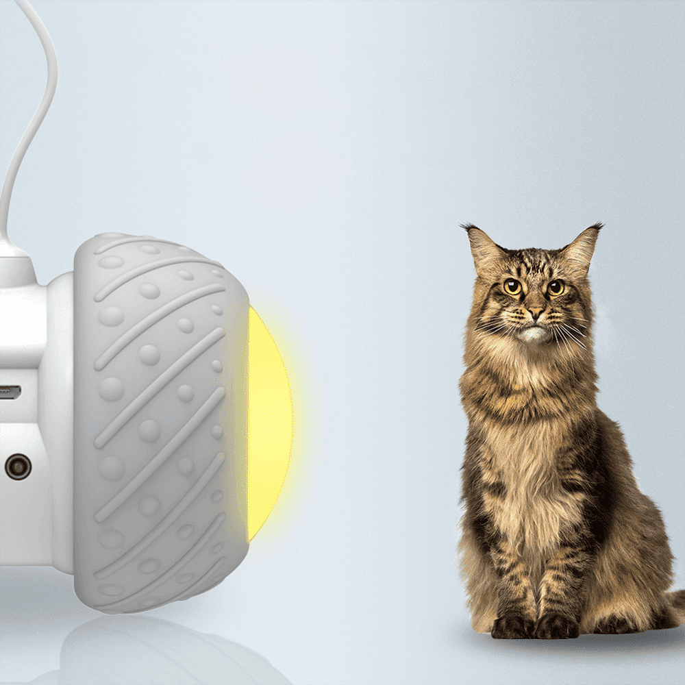 Brinquedo Eletrônico Inteligente para Gatos - Movimento Pet 