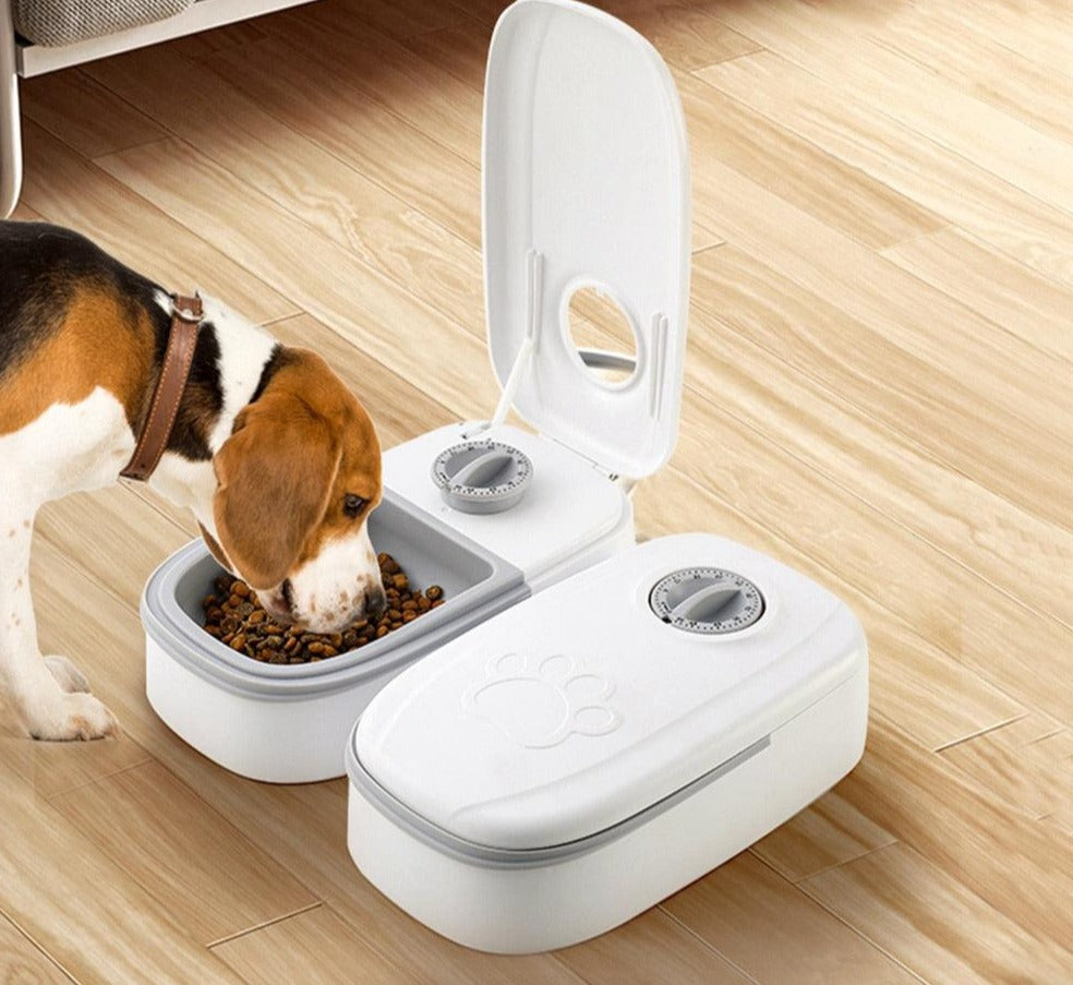 Dispenser de Comida Automático Inteligente | Para Cães e Gatos - Movimento Pet 
