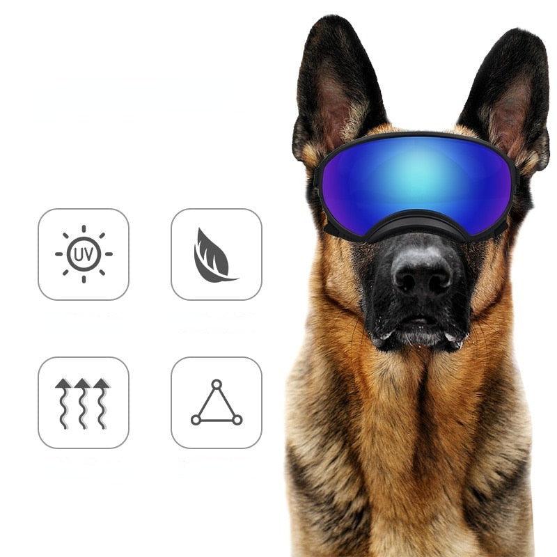 Óculos para Cachorros - Pet Óculos - Movimento Pet 